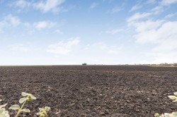 Images for Black Horse Drove, Littleport