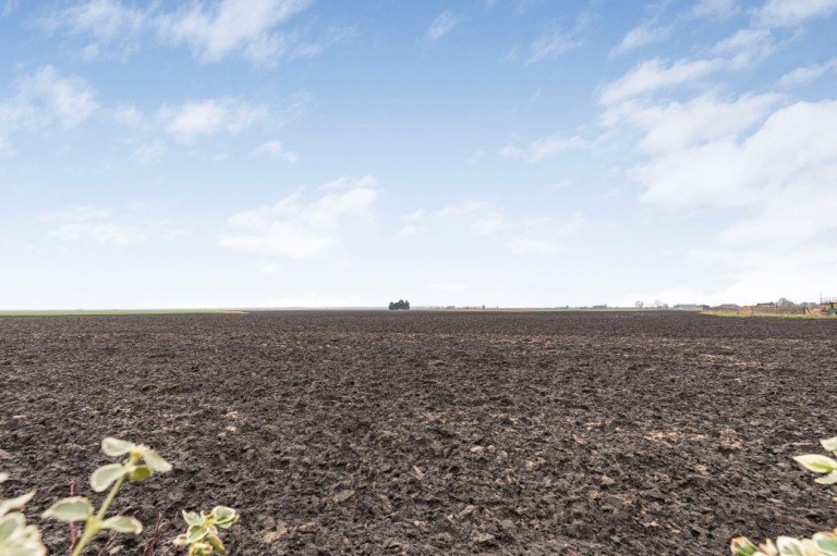 Images for Black Horse Drove, Littleport