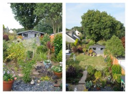 Images for Great Fellingfield, Mary Tavy