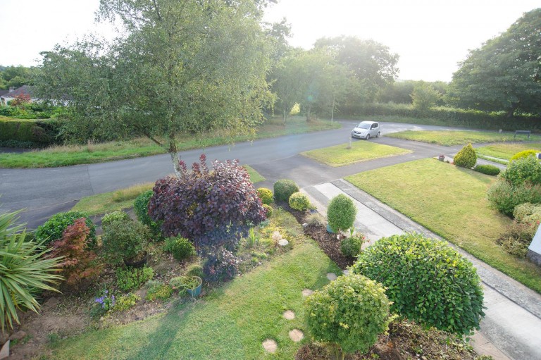 Images for Great Fellingfield, Mary Tavy