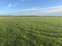 Images for Podimore, Yeovil