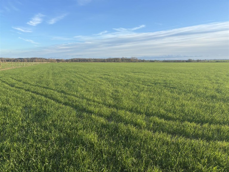 Images for Podimore, Yeovil