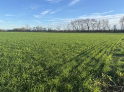 Images for Podimore, Yeovil