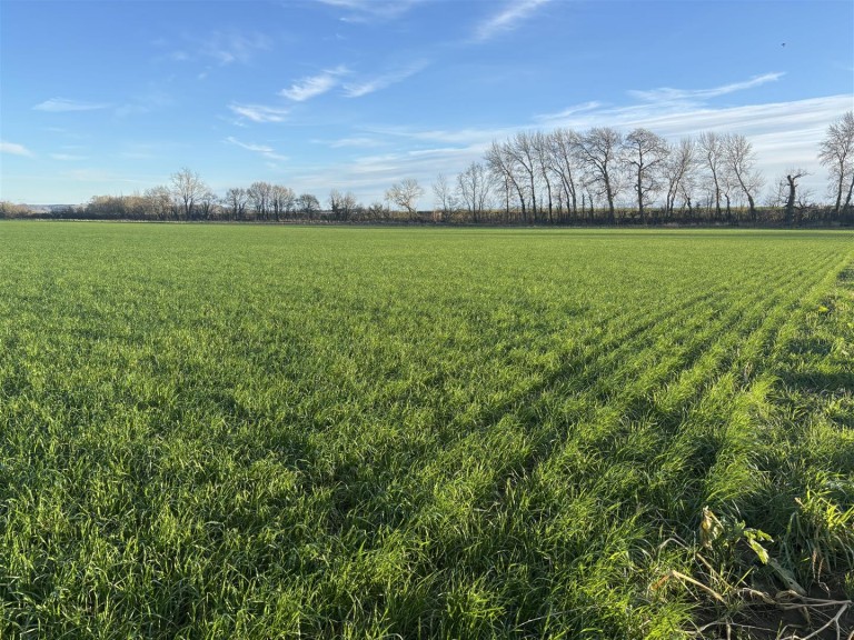 Images for Podimore, Yeovil