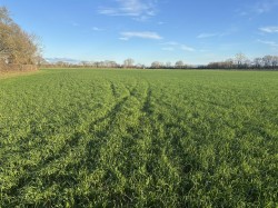 Images for Podimore, Yeovil