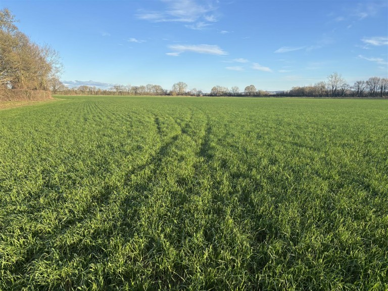 Images for Podimore, Yeovil