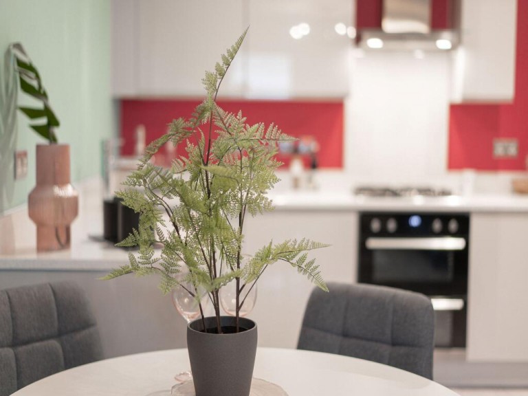 Images for Encombe Street, Plymstock, Plymouth