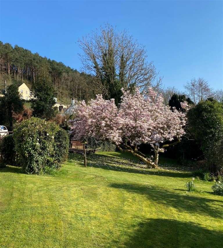 Images for Weare Giffard