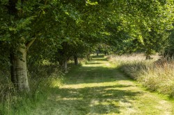 Images for Fifehead Neville, Sturminster Newton