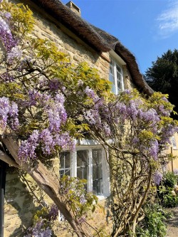 Images for East Coker, Somerset