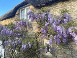 Images for East Coker, Somerset