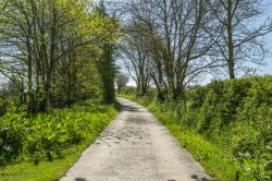 Images for Morchard Bishop