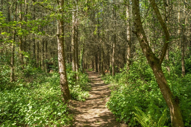 Images for Morchard Bishop