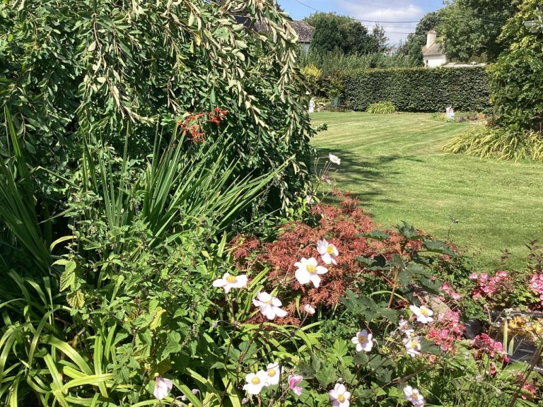 Images for Whitford Road, Kilmington, Axminster