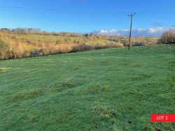 Images for Yelverton