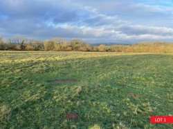 Images for Yelverton