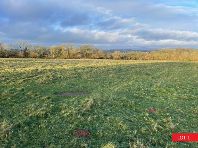 Images for Yelverton