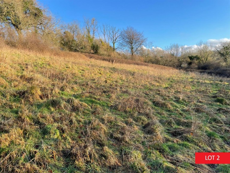 Images for Yelverton