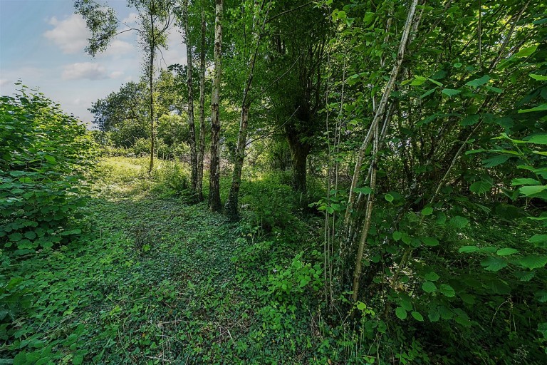 Images for Throwleigh, Okehampton