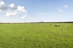 Images for Branscombe, Seaton