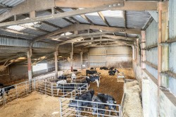 Images for Branscombe, Seaton