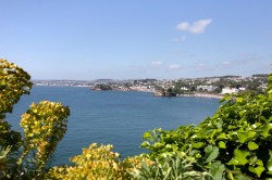 Images for Warren Road, Torquay