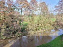 Images for Thread Mill Lane, Pymore, Bridport