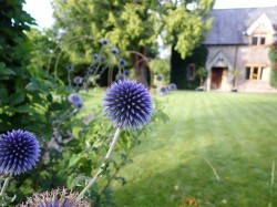 Images for Summer Lane, Evershot, Dorchester