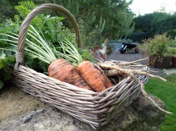 Images for Summer Lane, Evershot, Dorchester