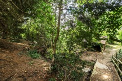 Images for Lyons Gate, Dorchester