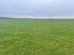 Images for Bere Regis, Wareham