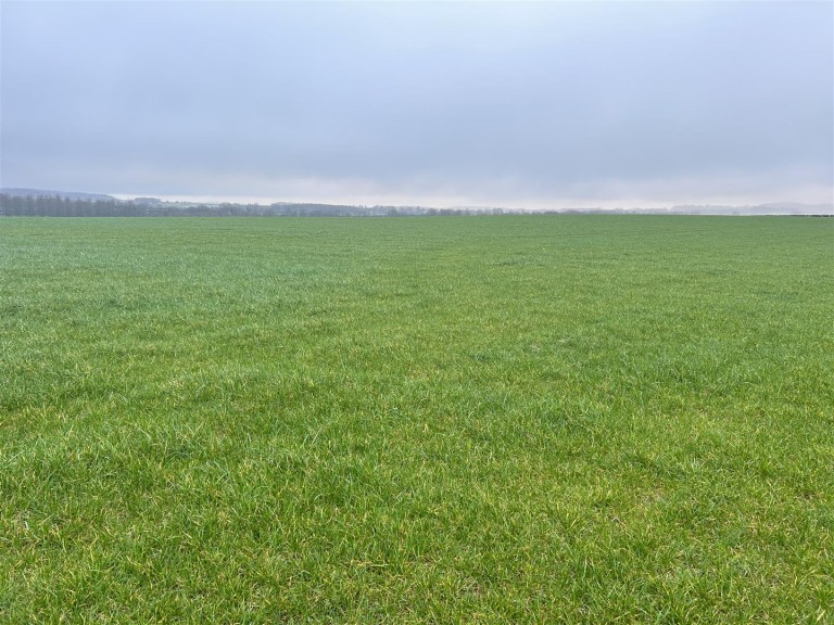 Images for Bere Regis, Wareham