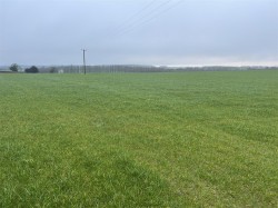 Images for Bere Regis, Wareham