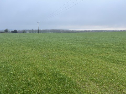 Click the photo for more details of Bere Regis, Wareham