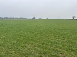 Images for Bere Regis, Wareham