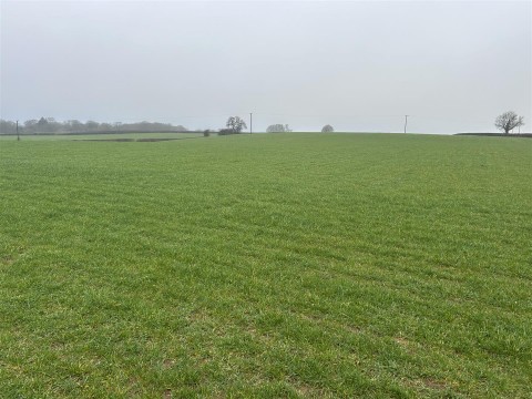 Click the photo for more details of Bere Regis, Wareham