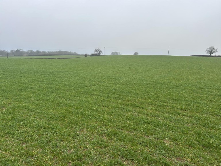 Images for Bere Regis, Wareham