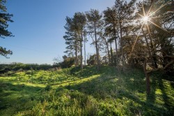 Images for The Duver, St. Helens, Isle of Wight