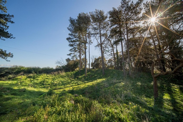 Images for The Duver, St. Helens, Isle of Wight