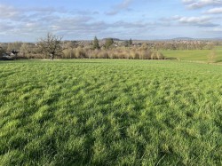 Images for Copse Hill, Broad Oak, Sturminster Newton