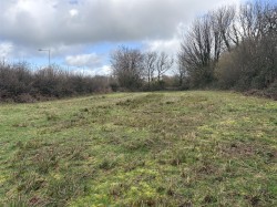 Images for Bridestowe