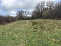 Images for Bridestowe