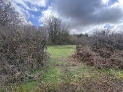 Images for Bridestowe