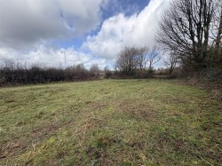 Images for Bridestowe