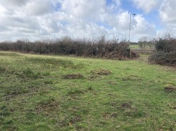 Images for Bridestowe