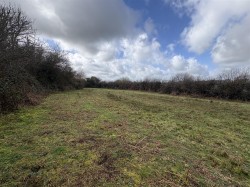 Images for Bridestowe