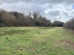 Images for Bridestowe