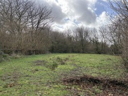 Images for Bridestowe