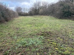 Images for Bridestowe