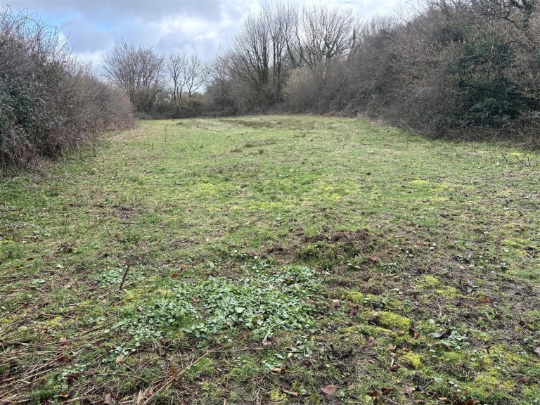 Images for Bridestowe